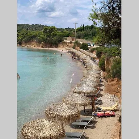Summer House