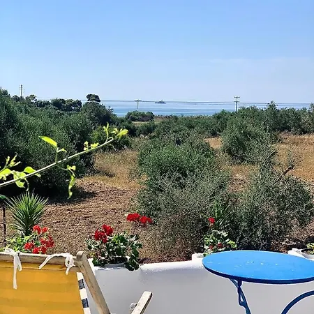 Summer House
