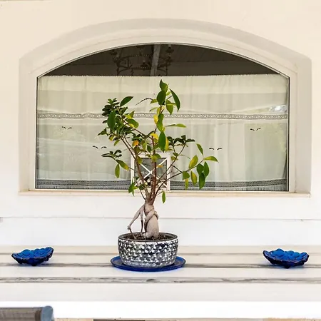 度假居 Summer House *